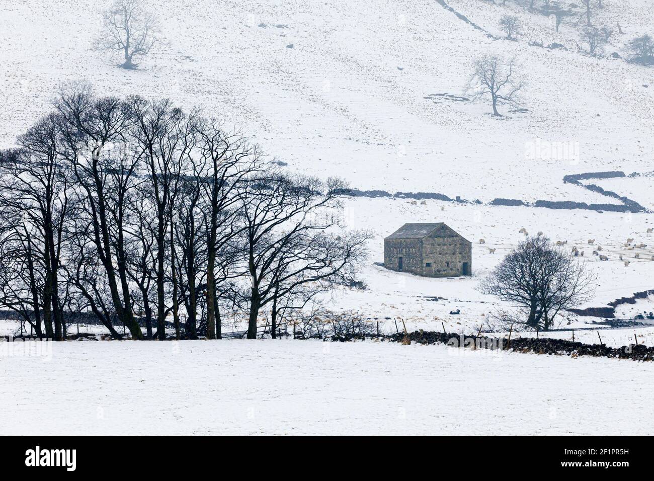 Ein Wintertag in den Yorkshire Dales bei Kettlewell, Wharfedale, North Yorkshire UK Stockfoto