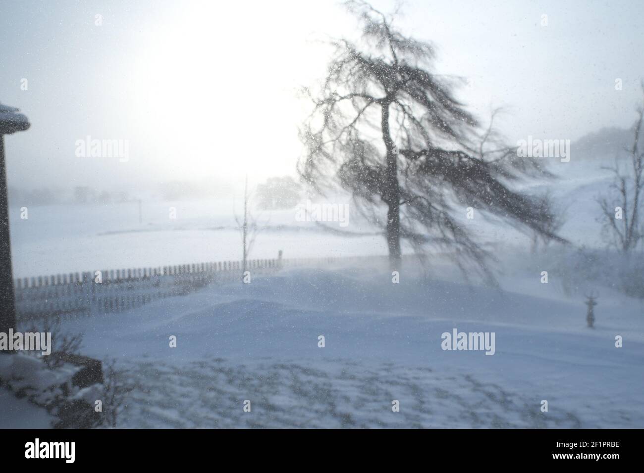 Schnee und Driften bei starken Winden (The Beast from the East), Northumberland, England, UK., Februar 2018 Stockfoto