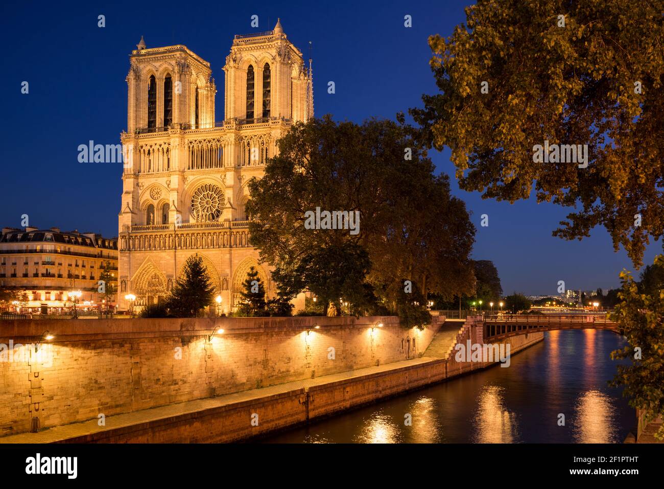 Die Kathedrale Notre Dame de Paris wird im Sommer bei Dämmerung mit dem Ufer der seine (UNESCO-Weltkulturerbe) beleuchtet. Ile de la Cite, Paris, Frankreich Stockfoto