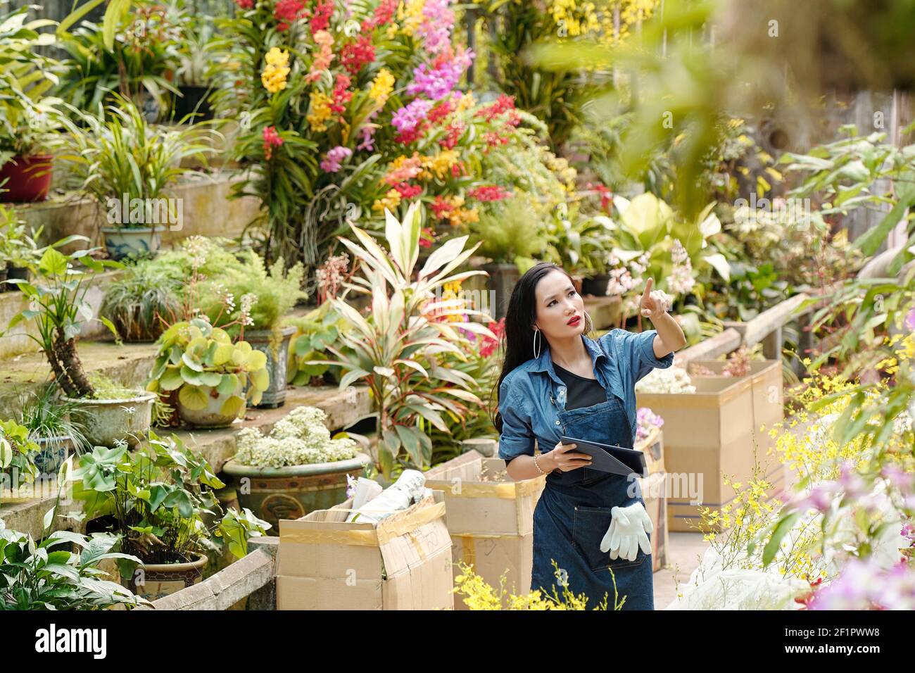 Ziemlich weibliche Baumschule Gartenarbeiter zu Fuß rund mit digitalen Tablet Und Qualitätsprüfung an Anlagen Stockfoto