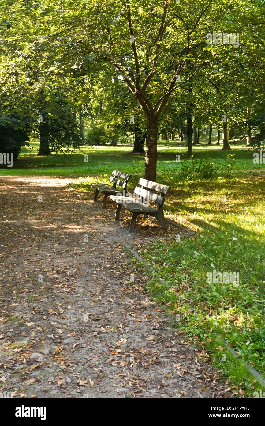 Zwei leere Bänke in einem Park Stockfoto