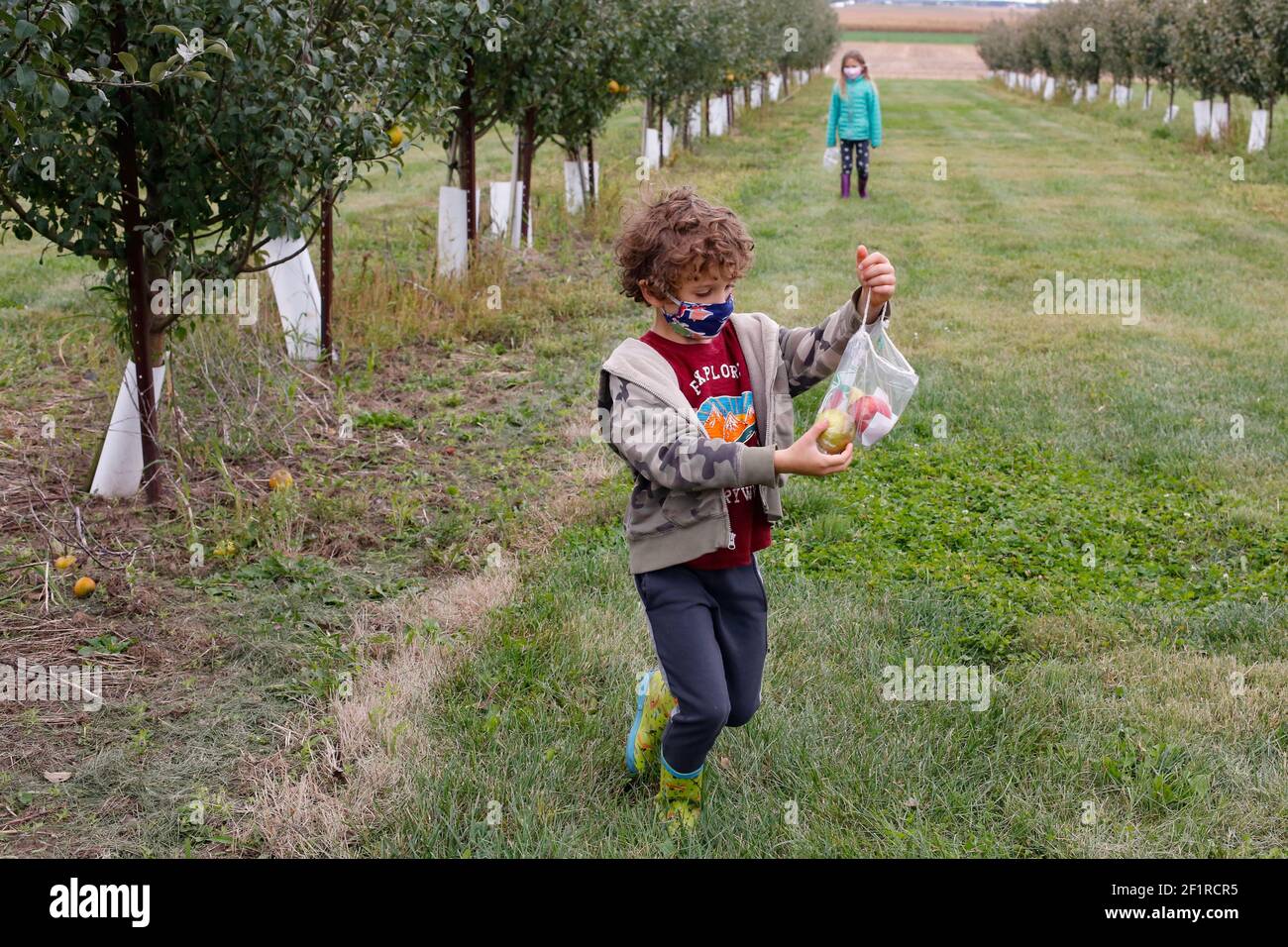 Geschwister pflücken Äpfel an einem Herbsttag in einem Obstgarten In Illinois Stockfoto
