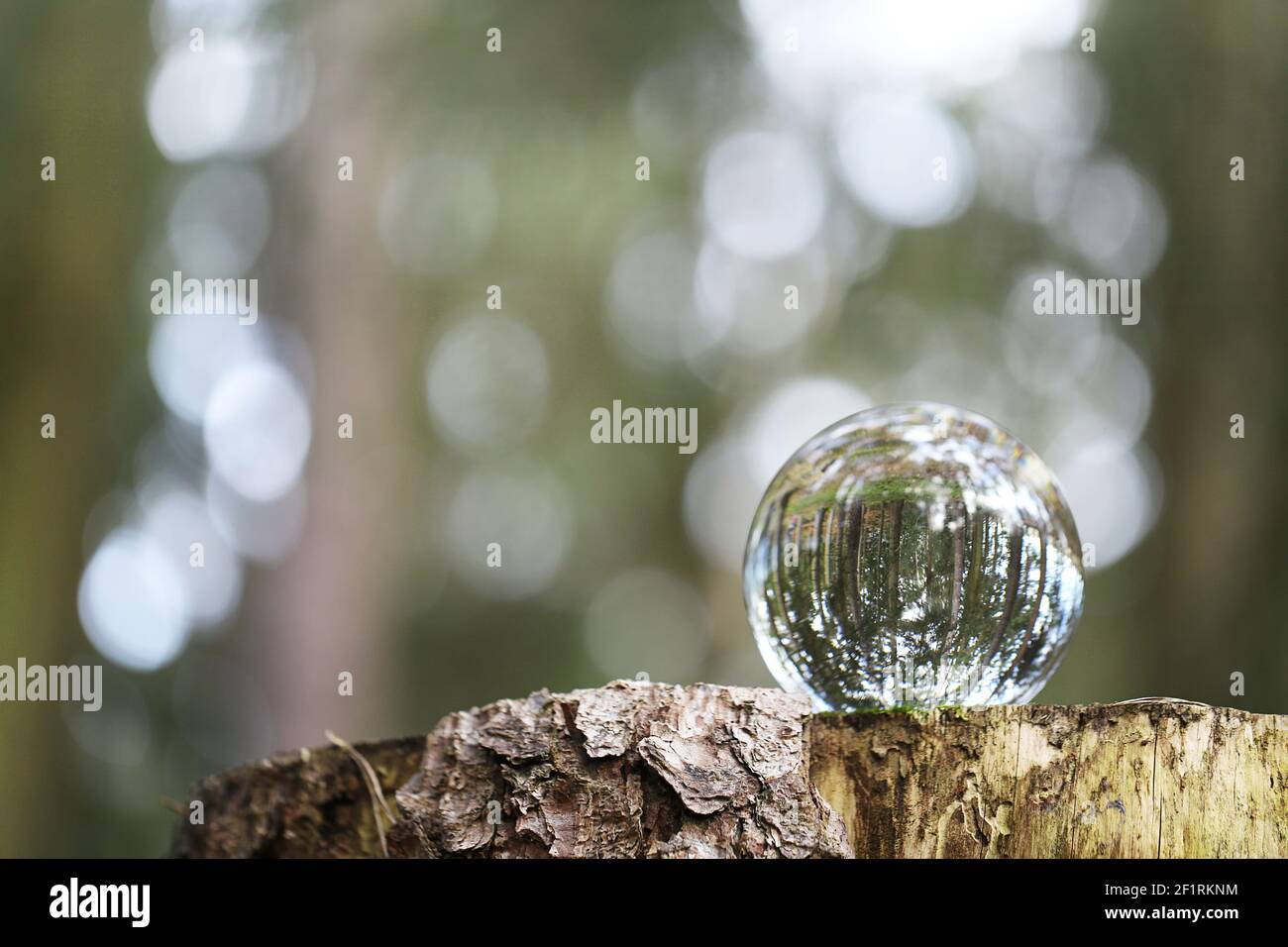 Erdtag-Konzept.ökologisches Konzept.Glaskugel mit Waldreflexion auf einem Stumpf im Wald. Umweltschutz und Naturschutz Stockfoto