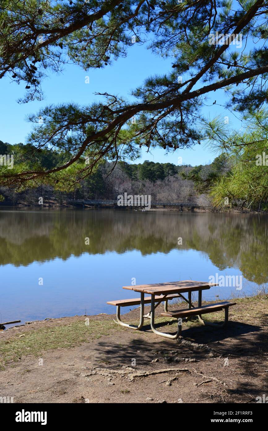 Ein Picknicktisch neben einem See an einem sonnigen Tag in Raleigh, North Carolina. Stockfoto