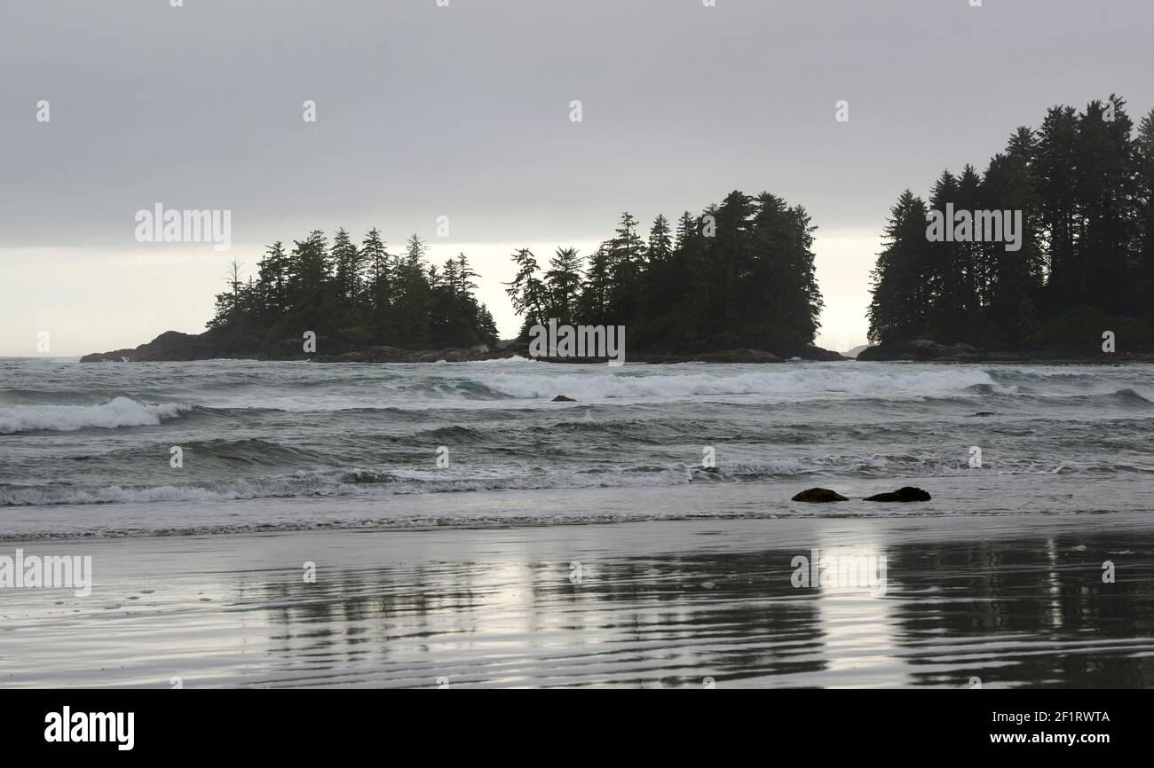 Wellen schlagen am Florencia Beach, Pacific Rim National Park Stockfoto
