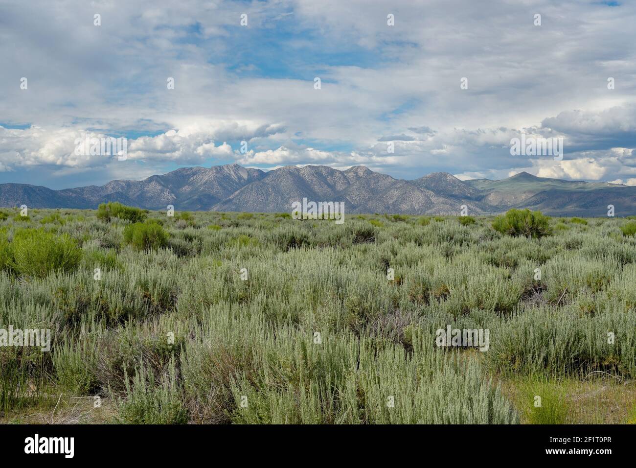 Long Valley neben dem Lake Crowley, Mono County, Kalifornien. USA. Stockfoto