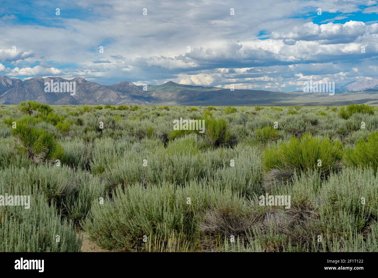 Long Valley neben dem Lake Crowley, Mono County, Kalifornien. USA. Stockfoto