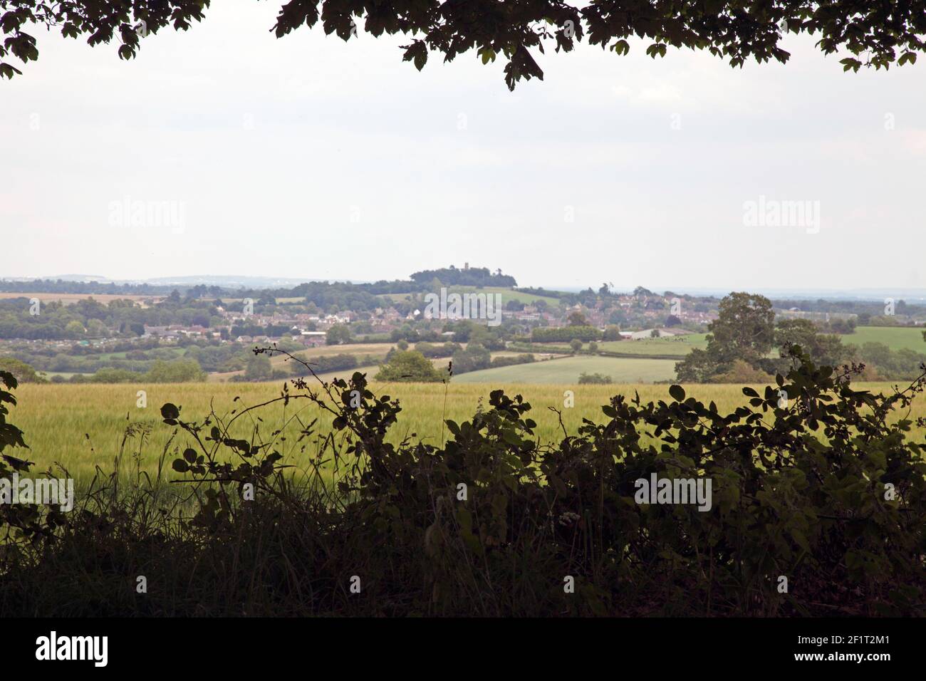 Faringdon Folly und Folly Hill, von Badbury Clump, Oxfordshire aus gesehen Stockfoto