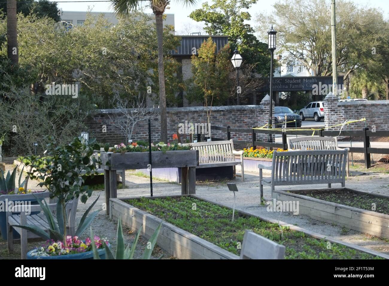 Urban Garden mit Pflanzen, blauen Kohl mit Kupfer Wasserpfeifen, Grundstücke wachsen, Dirt Herd, vrgrtable Wortspiel Zeichen, und Schmetterlingsflügel Stockfoto