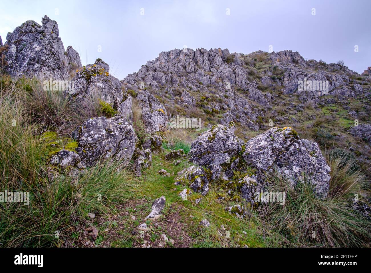 Wandern in den Bergen über dem Zafarraya Pass, Andalucía, Spanien, Europa Stockfoto