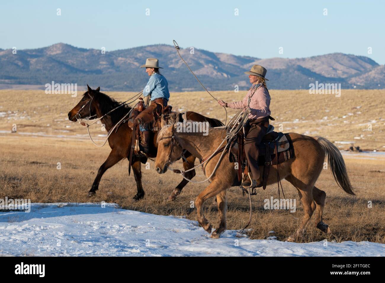 USA, Colorado, Custer County, Westcliffe, Music Meadows Ranch. Weibliche Ranchhand in typischer westlicher Ranchkleidung. Modell Freigegeben. Stockfoto
