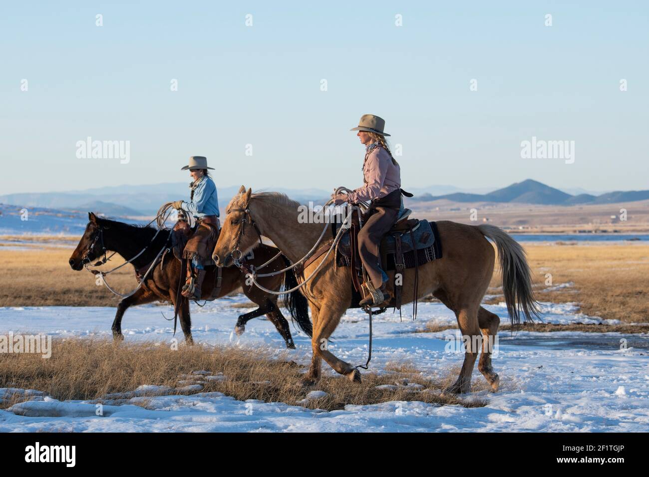 USA, Colorado, Custer County, Westcliffe, Music Meadows Ranch. Weibliche Ranchhand in typischer westlicher Ranchkleidung. Modell Freigegeben. Stockfoto