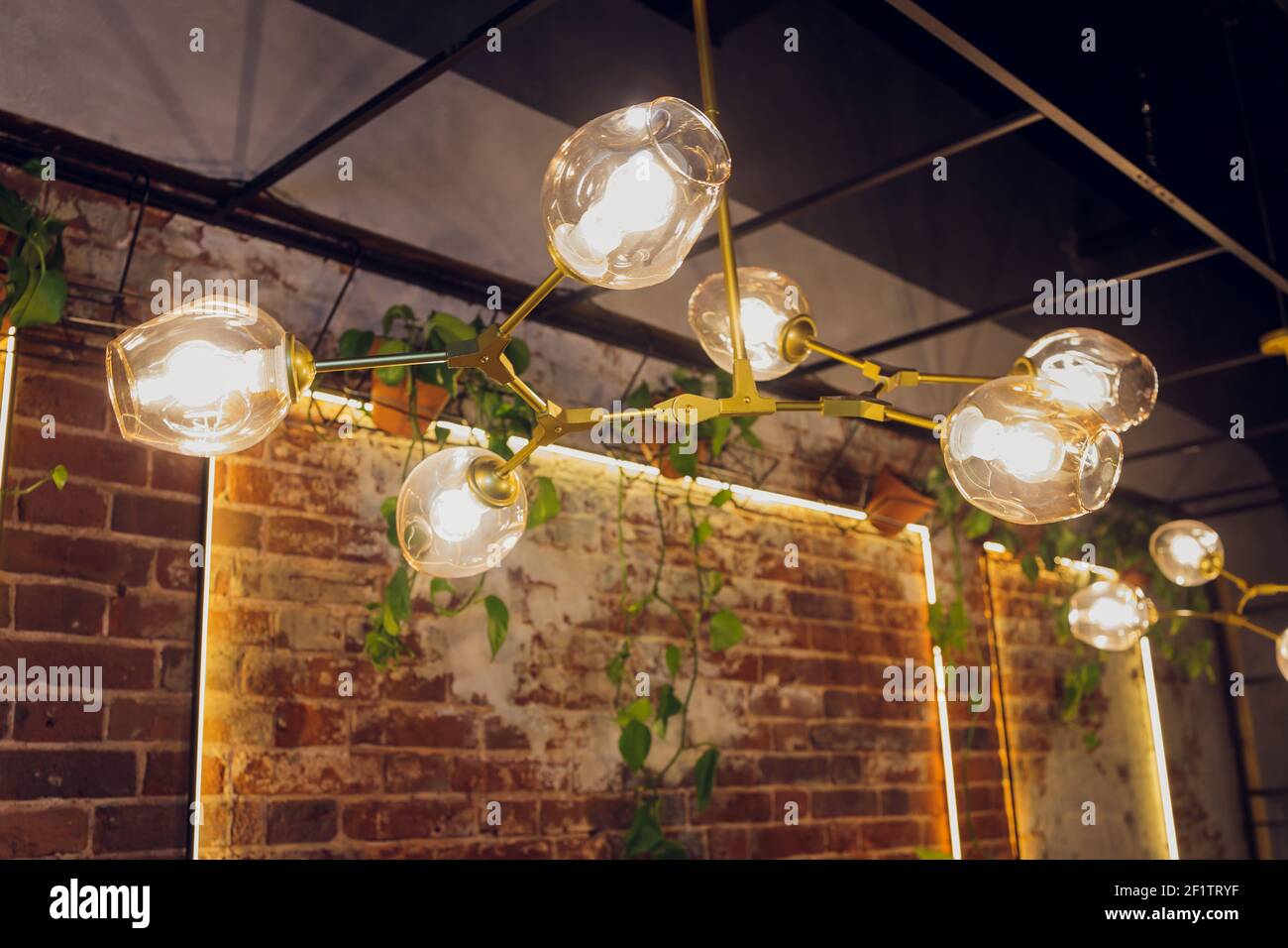 Viele runde Lampen in der Nähe einer braunen Holzwand. Runde Lichter im  Innenraum. Hintergrund für Design. Dekorative Glühlampen Stockfotografie -  Alamy