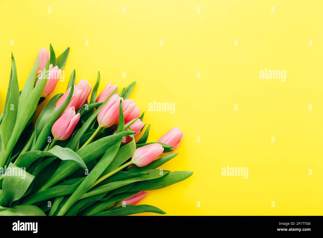 Frühlingsblumen. Das Bouquet von rosa Tulpen rosa auf einem gelben Hintergrund. Draufsicht Stockfoto