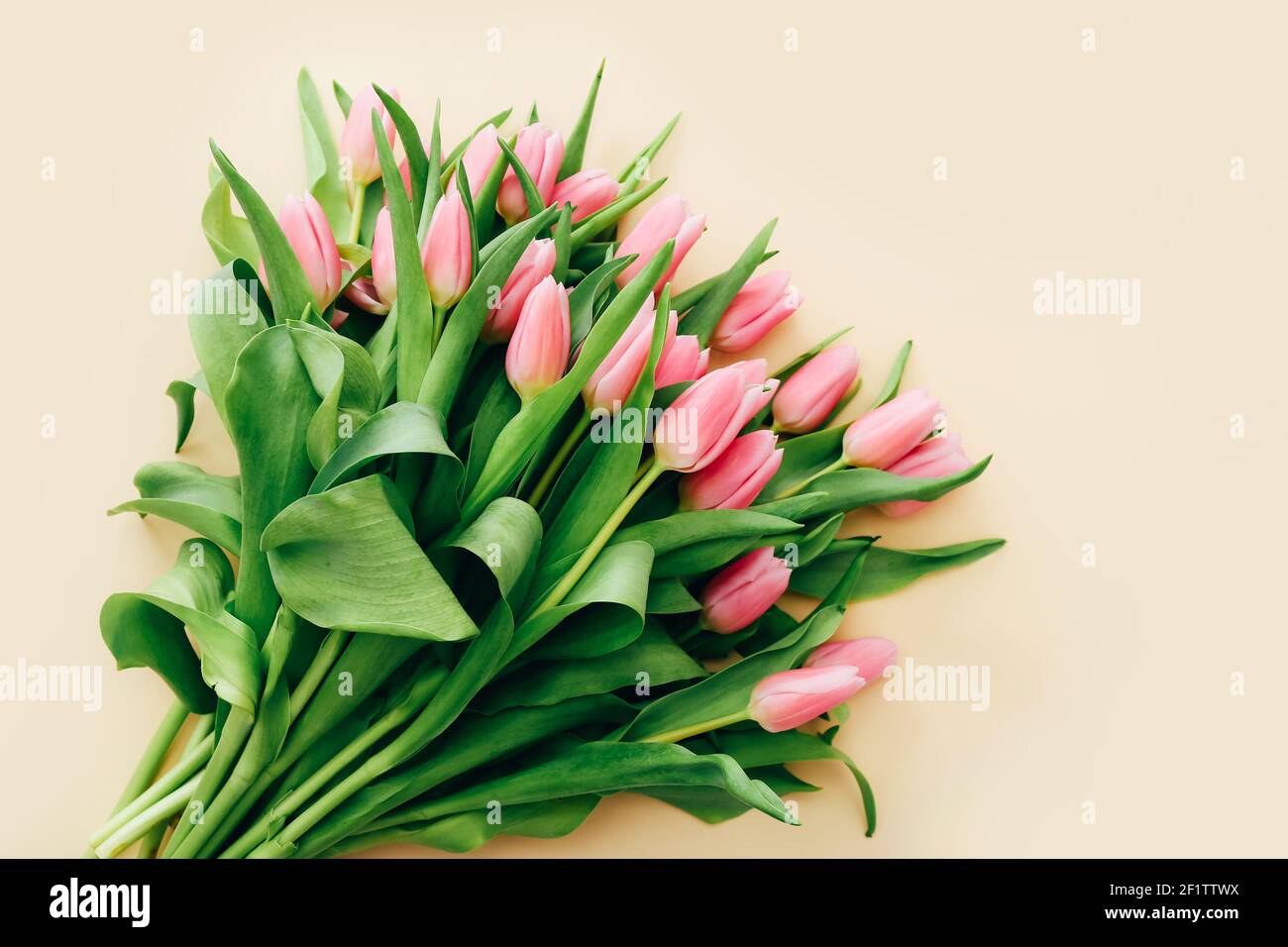 Frühlingsblumen. Das Bouquet von rosa Tulpen rosa auf einem hellbeigen Hintergrund. Draufsicht Stockfoto