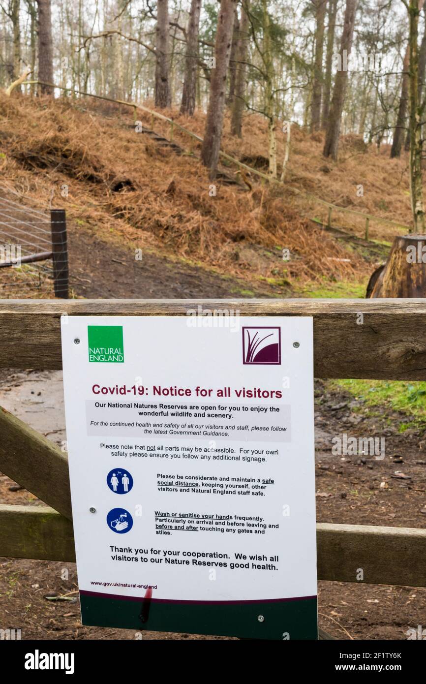 Ein COVID-19-Hinweis auf dem Eingang zum Dersingham Bog National Nature Reserve in Norfolk. Stockfoto