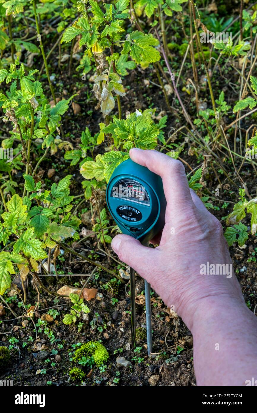 Frau testet den pH-Wert ihrer Gartenerde mit einem Messgerät, um Säure, Feuchtigkeitsgehalt und Lichtstärke zu zeigen. Stockfoto