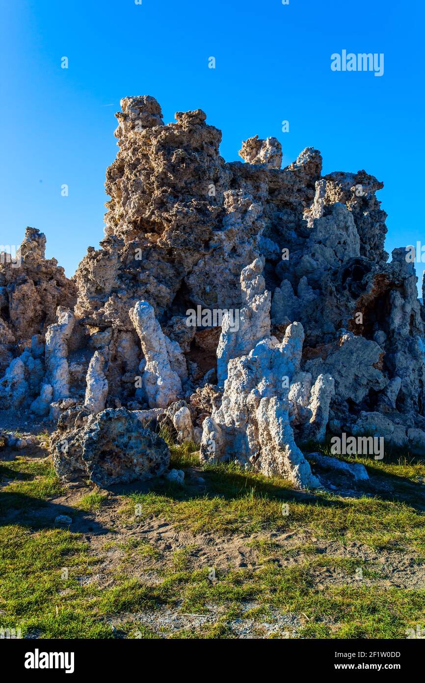 Der Tuffstein am Ufer des Mono Lake Stockfoto