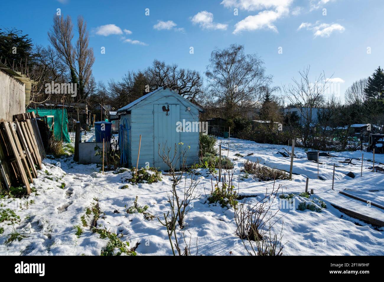 Eine winterliche Szene an einem mit Schnee bedeckten Schottsgelände. Stockfoto