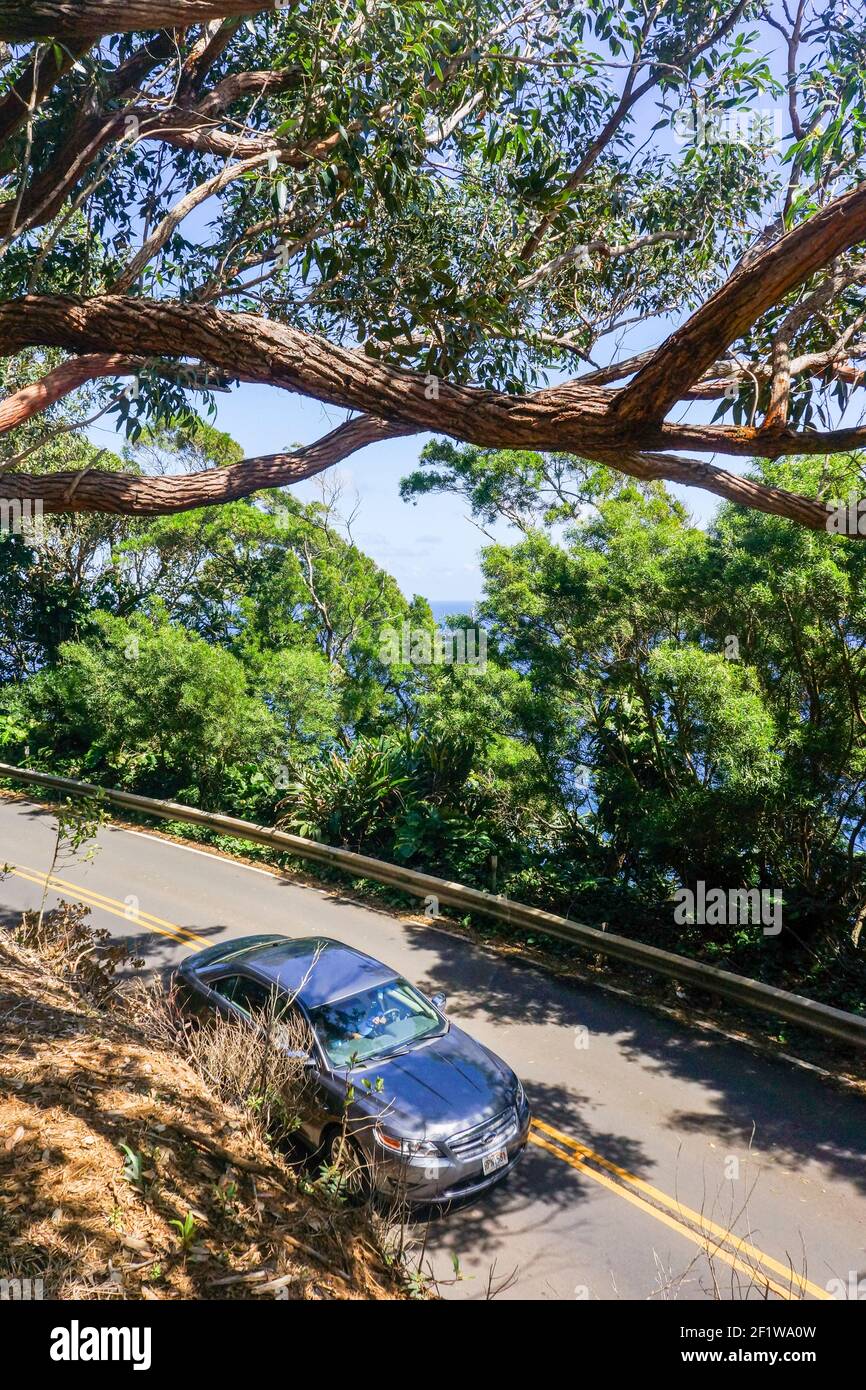 Straße nach Hanna, Maui, Hawaii Stockfoto