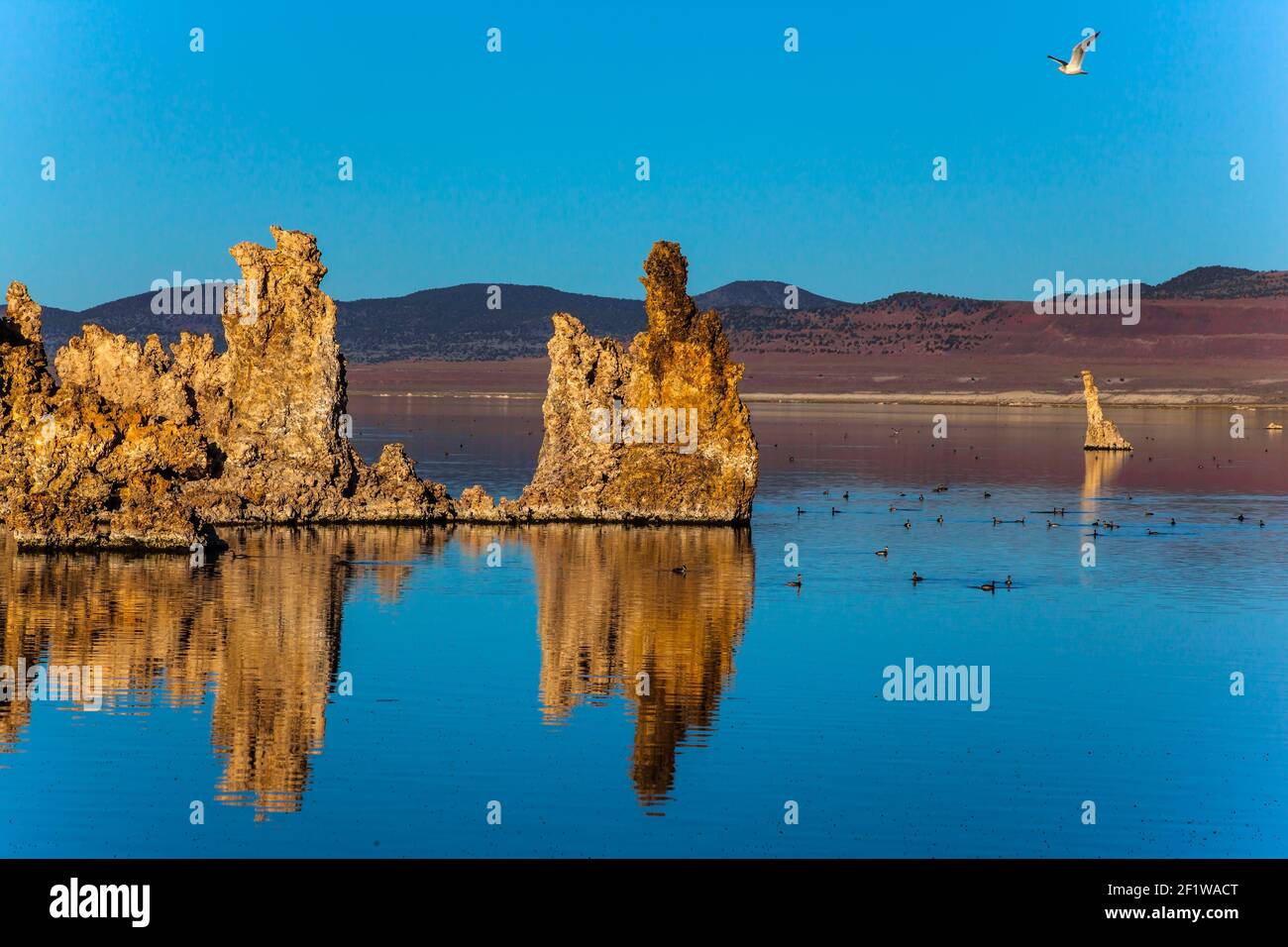 Malerischer Mono Lake Stockfoto