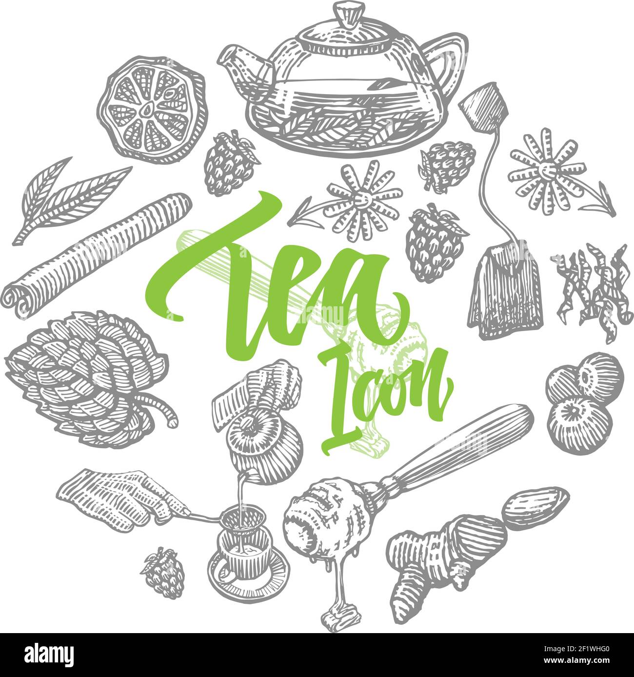 Jasmine Tea Vector Vectors Stockfotos Und Bilder Kaufen Alamy