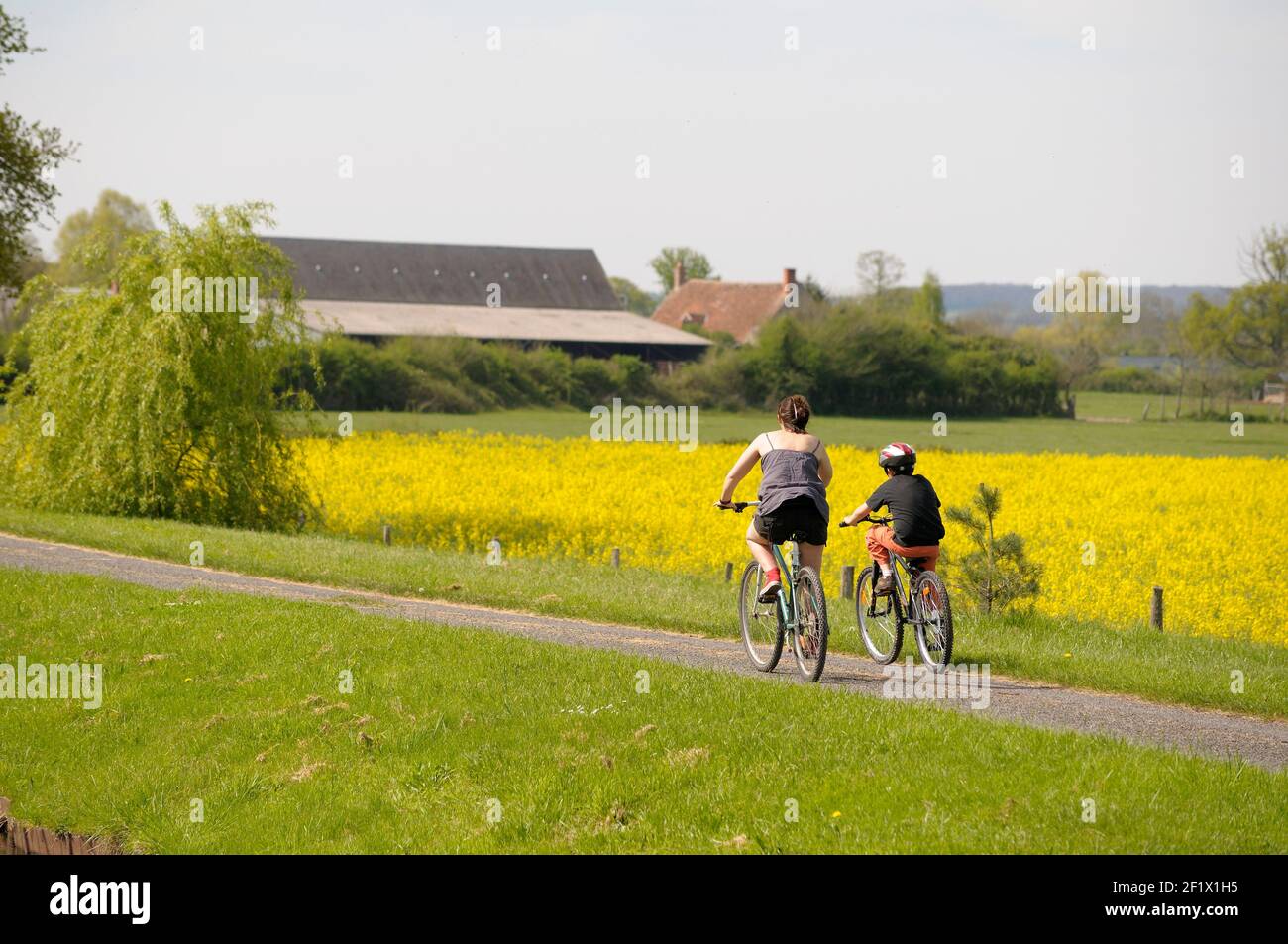 Radfahren entlang des Canal latéral à la Loire vor Ackerland und Senffeldern, Frankreich Stockfoto