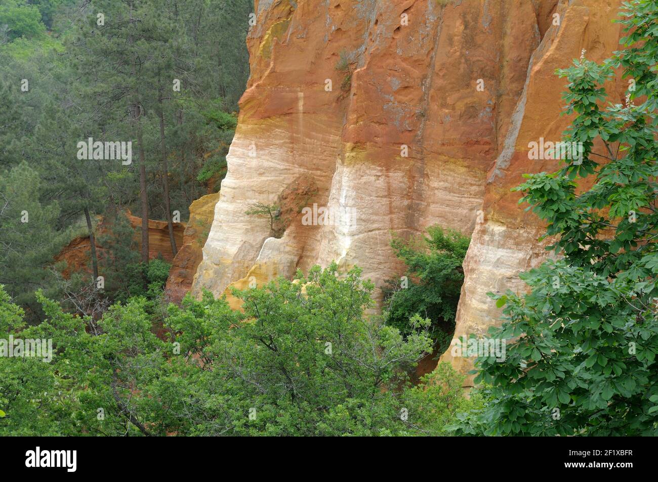 Ockerfarbene Klippen unterhalb der Stadt Roussillon, Roussillon, Vaucluse, Provence-Alpes-Côte d'Azur, Frankreich Stockfoto