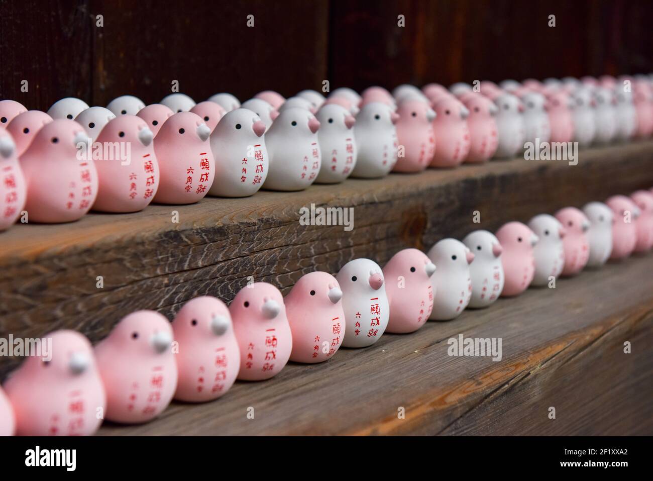 Omikuji Glücksvögel auf der Ausstellung in einem Schrein in Kyoto Japan Stockfoto