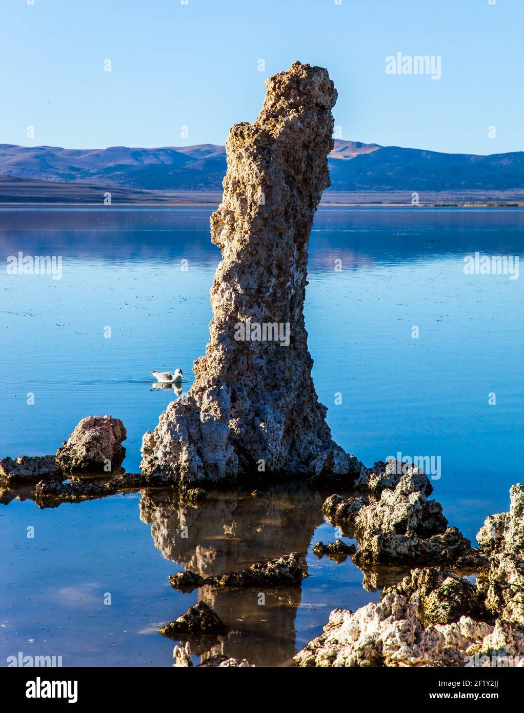 Die Kalk-Tuff Türme von ausgefallener Form Stockfoto