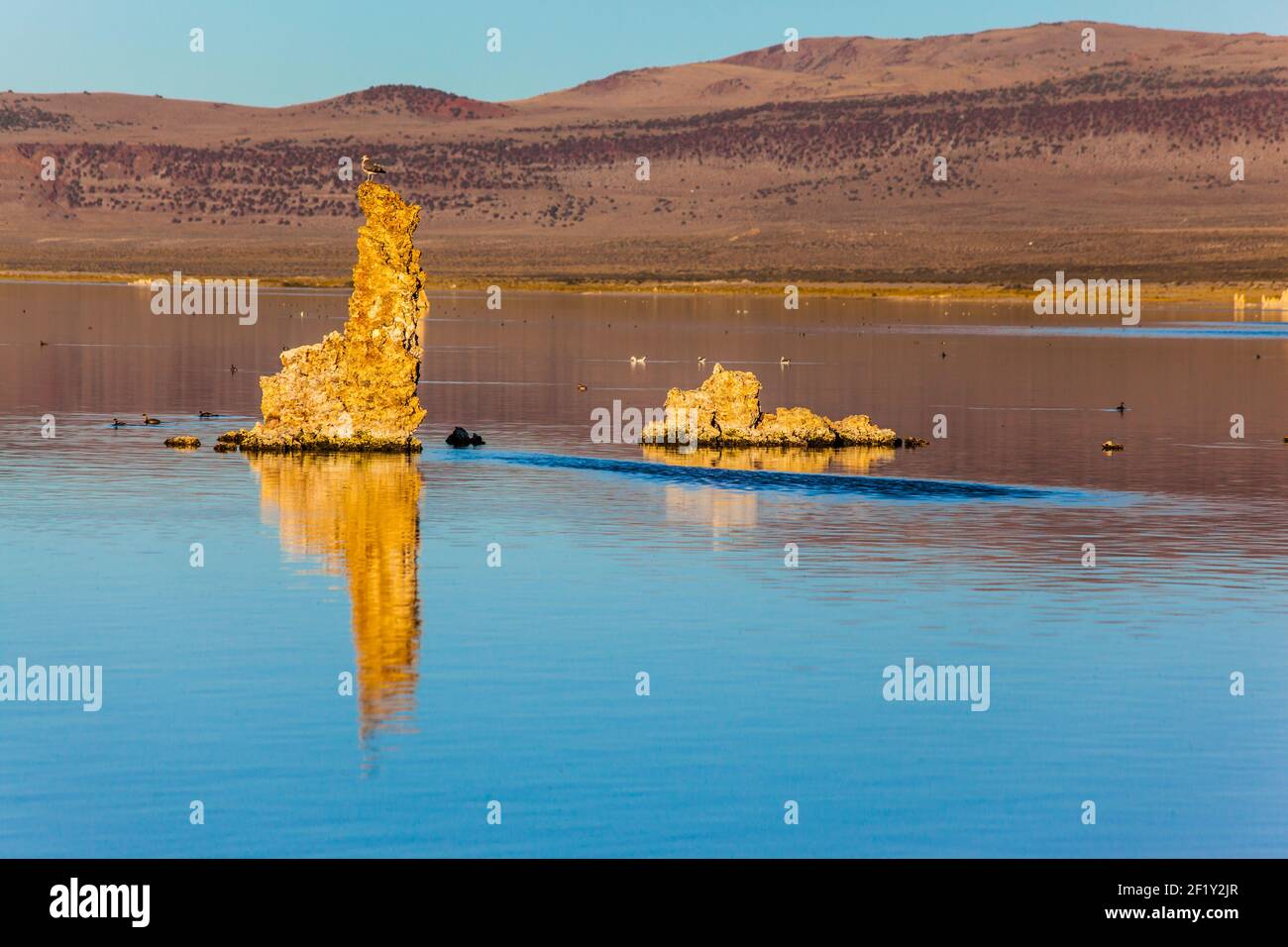 Die Reflexion Stockfoto