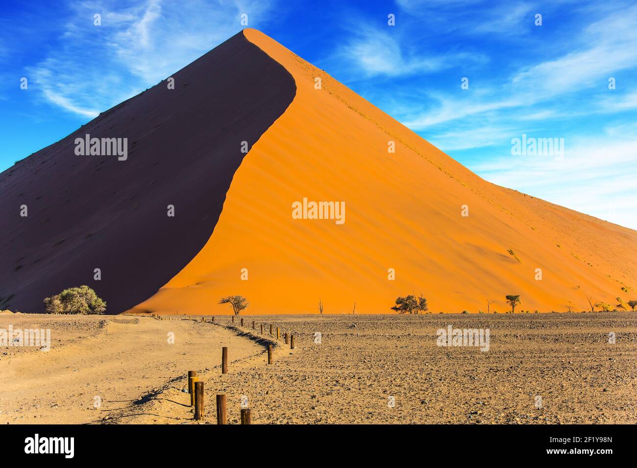 Der Kamm der Düne Stockfoto