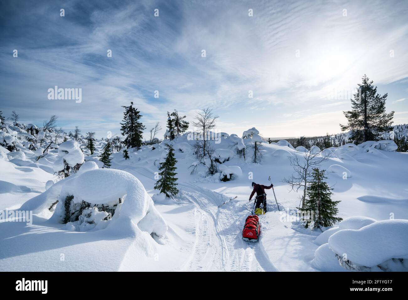 Aufstehen nach dem Sturz beim Skitourengehen im Urho-Kekkonen-Nationalpark, Sodankylä, Lappland, Finnland Stockfoto
