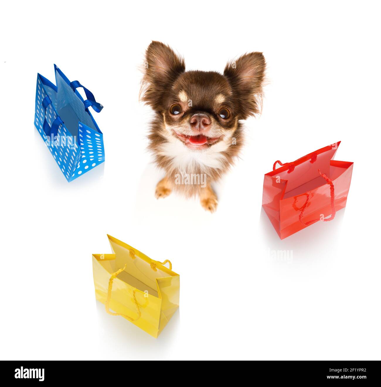 Verkauf Shopping Hund Stockfoto