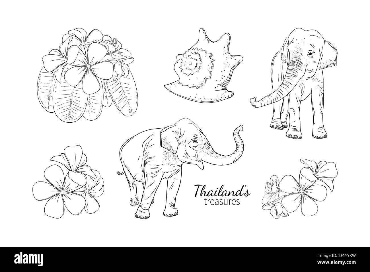 Thailand Sommer und Meer Schätze wie Elefanten, Muschel und Frangipani. Set von asiatischen thai-Symbole. Gravierte Vektorgrafik isoliert auf weiß Stock Vektor
