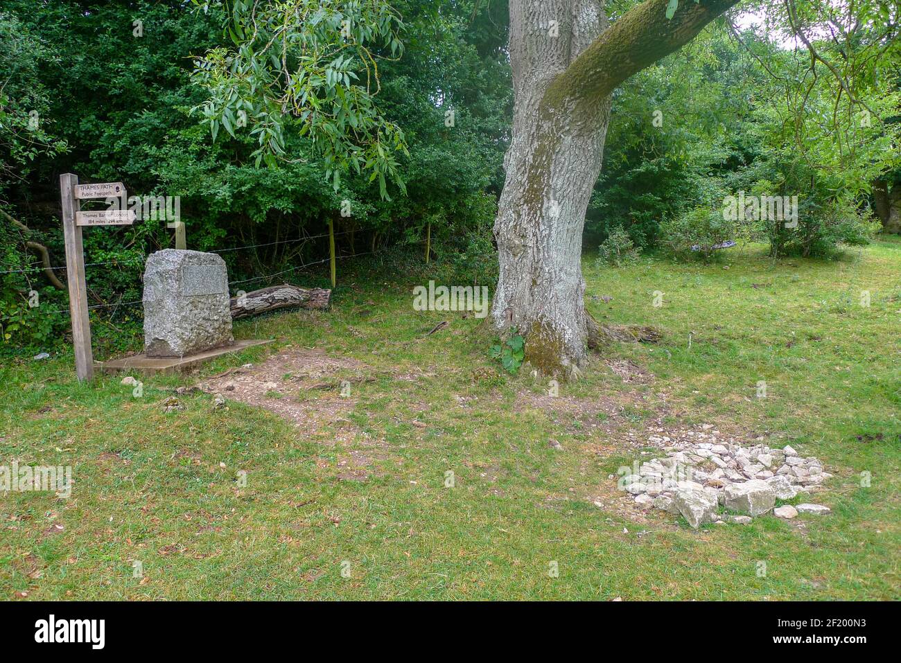 Themse: Die offizielle Quelle ist durch eine Steingruppe und eine Marmorplatte unter einer Esche gekennzeichnet. Stockfoto