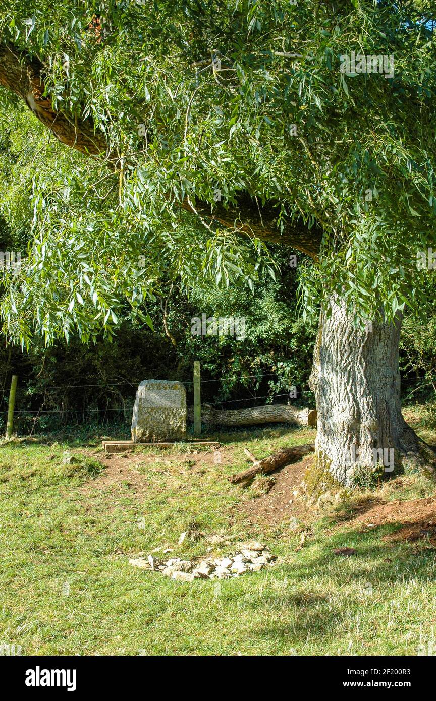 Themse: Die offizielle Quelle ist durch eine Steingruppe und eine Marmorplatte unter einer Esche gekennzeichnet. Stockfoto