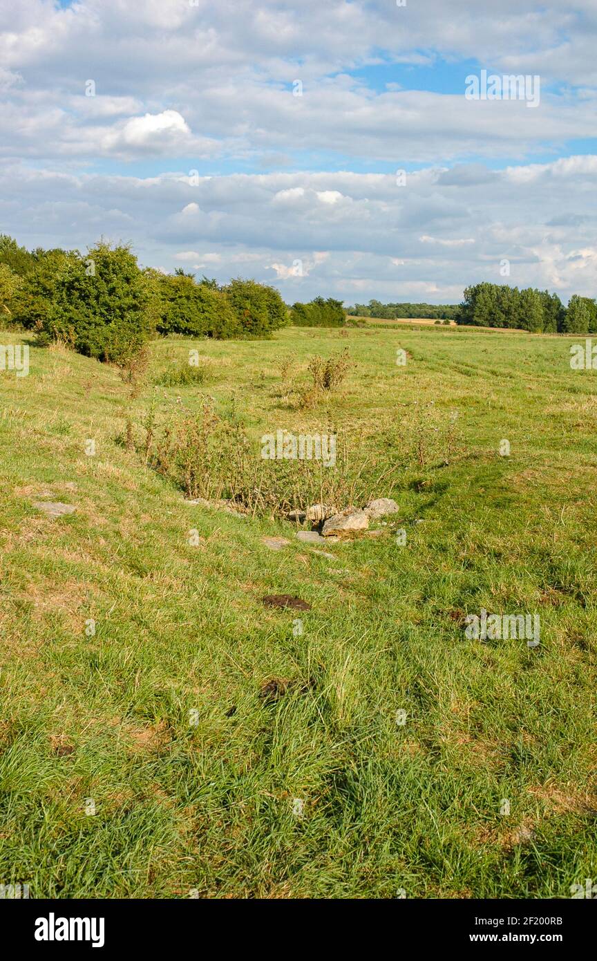 Themse: Der Lauf des Flusses ist in diesem Feld unterhalb der Quelle gerade sichtbar. Stockfoto