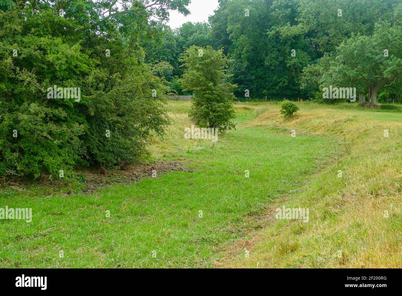 Themse: Das Flussbett des Flusses, derzeit trocken, kann etwa eine Meile unterhalb der Quelle gesehen werden. Stockfoto