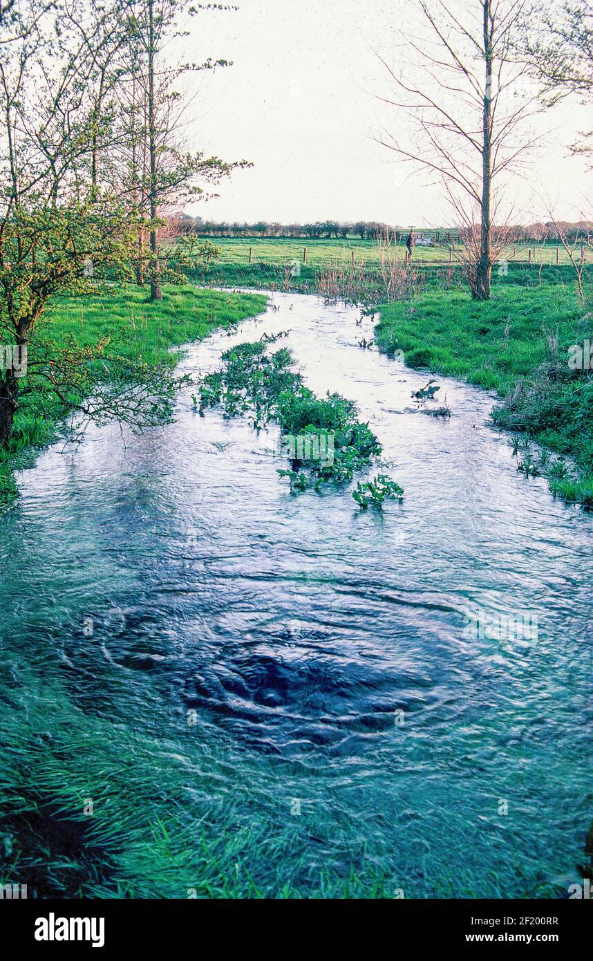 Themse: LYD nun, etwa eine halbe Meile von der offiziellen Quelle entfernt, ist oft der Ursprung des Flusses. Stockfoto