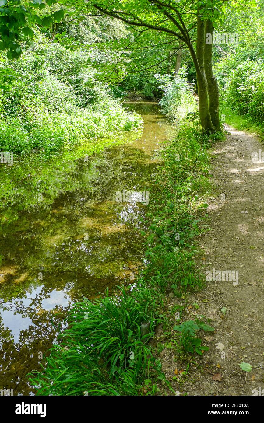 Themse: Der Themse-Pfad neben der kleinen Themse bei Ashton Keynes Stockfoto