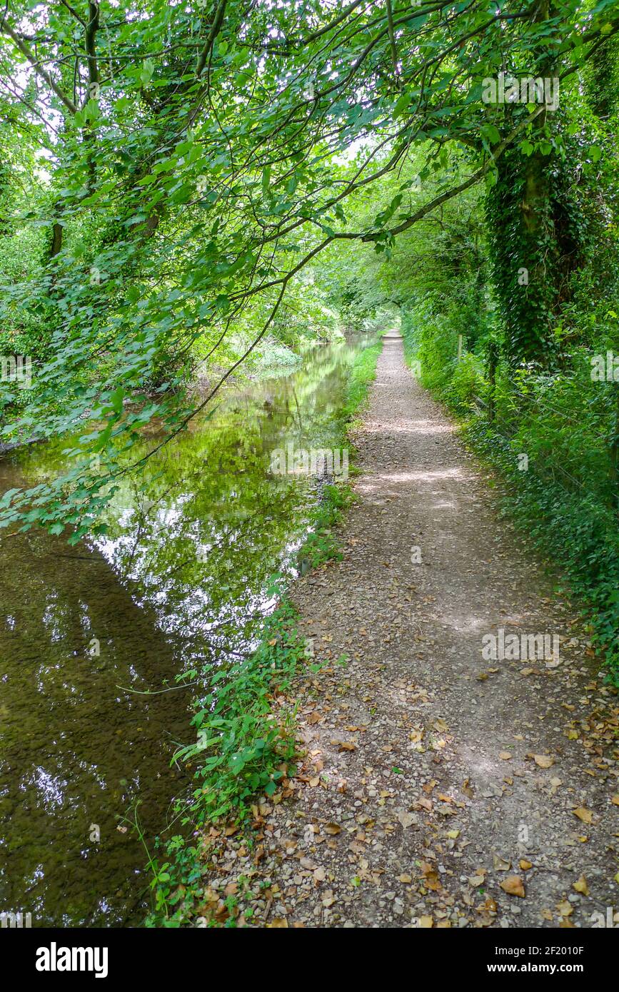 Themse: Der Themse-Pfad neben der kleinen Themse bei Ashton Keynes Stockfoto