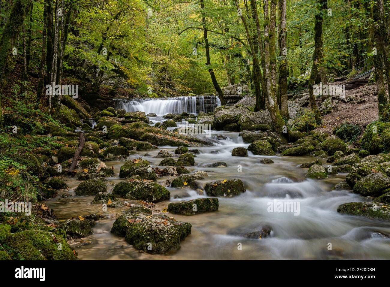 Ein schöner Gebirgsbach mit kleinem Wasserfall im Herbstwald Querformat Stockfoto