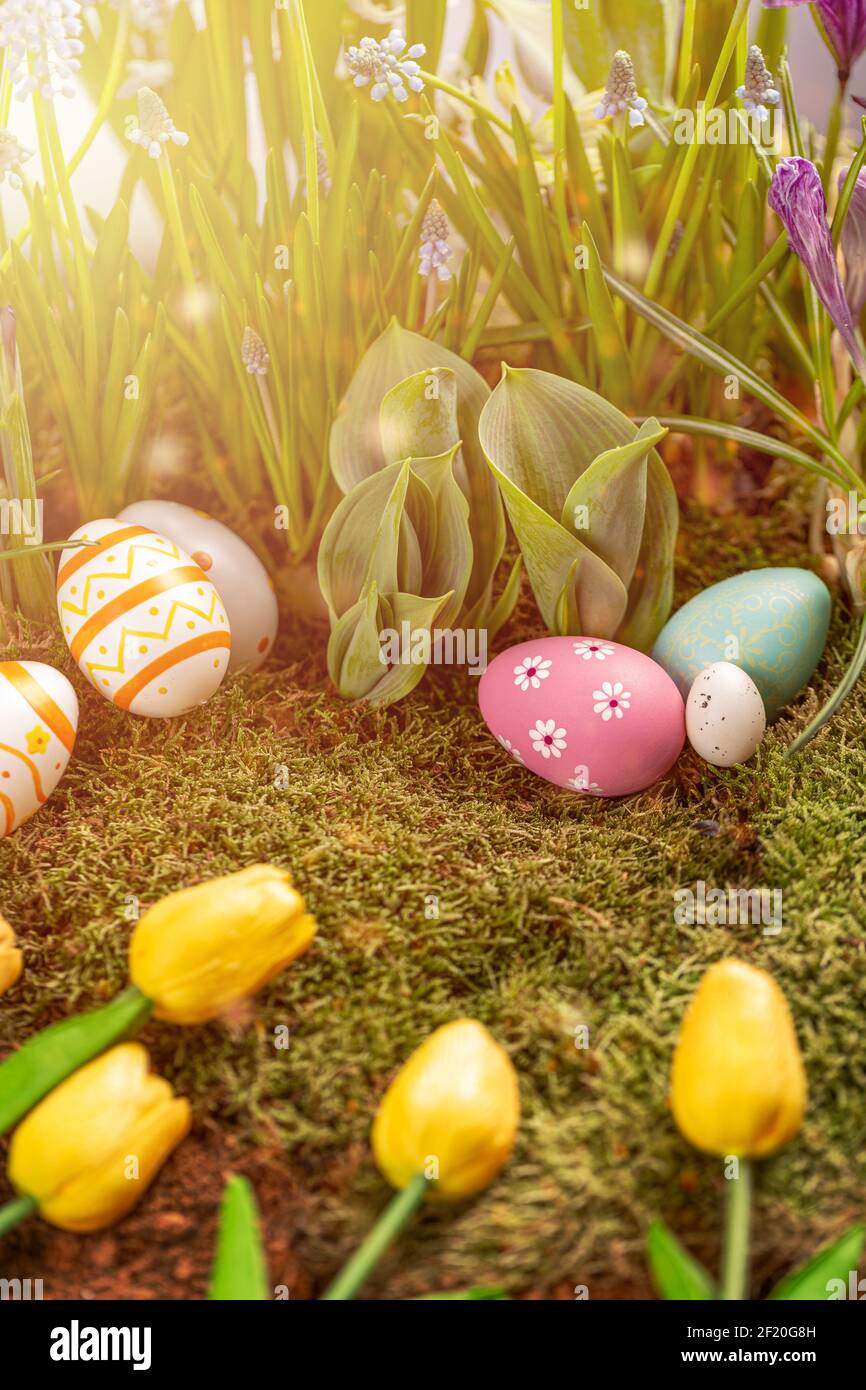 Osterkonzept Hintergrund Stockfoto