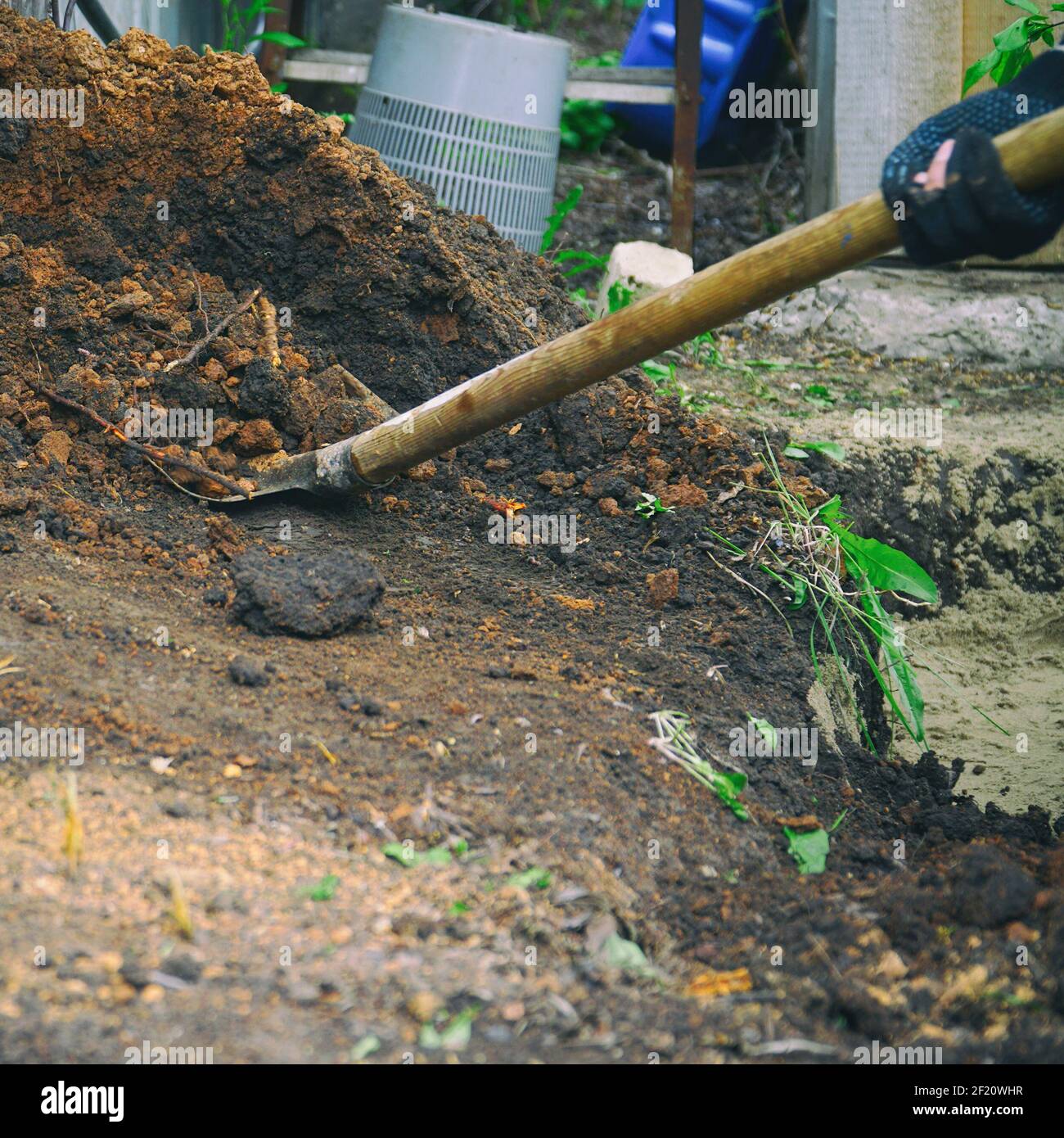 Ein Arbeiter in Handschuhen gräbt den Boden mit einer Schaufel Stockfoto