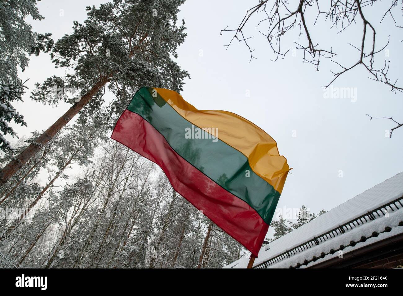 Litauen Flagge gegen schneebedeckte Bäume. Feiertag. Stockfoto