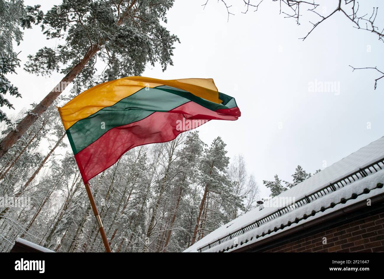 Litauen Flagge gegen schneebedeckte Bäume. Feiertag. Stockfoto