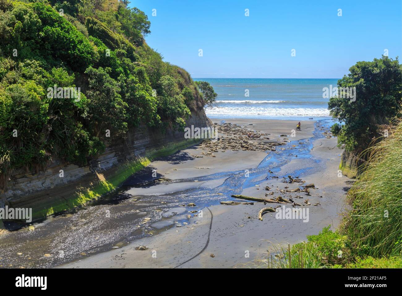 Ein kleiner Bach schlängelt sich durch eine Schlucht und über einen Strand bei Whitecliffs in der Taranaki Region, Neuseeland Stockfoto