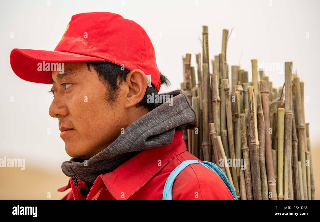 (210310) --URUMQI, 10. März 2021 (Xinhua) -- Feng Zhipeng, Arbeiter des geophysikalischen Vermessungsteams, arbeitet in der Taklimakan-Wüste, nordwestlich der Autonomen Region Xinjiang Uygur in China, 25. Februar 2021. Die Taklimakan-Wüste im Tarim-Becken der Autonomen Region Xinjiang Uygur im Nordwesten Chinas ist eine der größten petroliferösen Regionen Chinas und aufgrund ihrer rauen Bodenbedingungen und der komplizierten unterirdischen Bedingungen eine der schwierigsten zu erkunden. Um die Öl- und Gasressourcen zu erkunden, sind mehrere Prozesse erforderlich, einschließlich der Durchführung geophysikalischer Untersuchungen, um seismische Daten zu sammeln Stockfoto