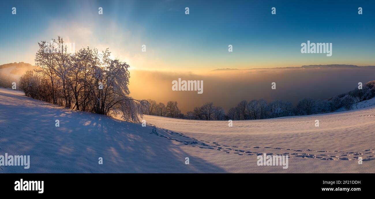 Winterlandschaft, gefrorene Bäume im Winter, Mont Salève, Archamps, Frankreich Stockfoto